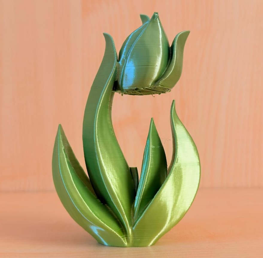 Green tulip